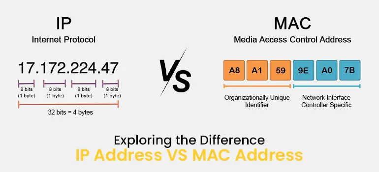 Exploring the Difference: IP Addresses vs. MAC Addresses